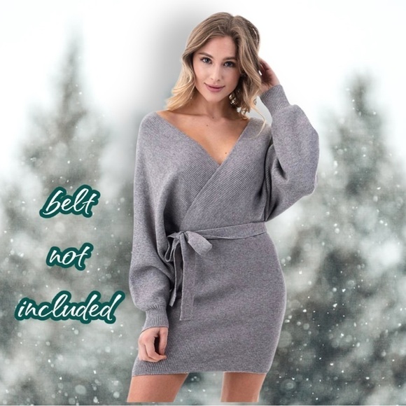 PETAL Roz Silver Gray Vneck Bodycon Sweater Dress Size Large - Picture 4 of 13